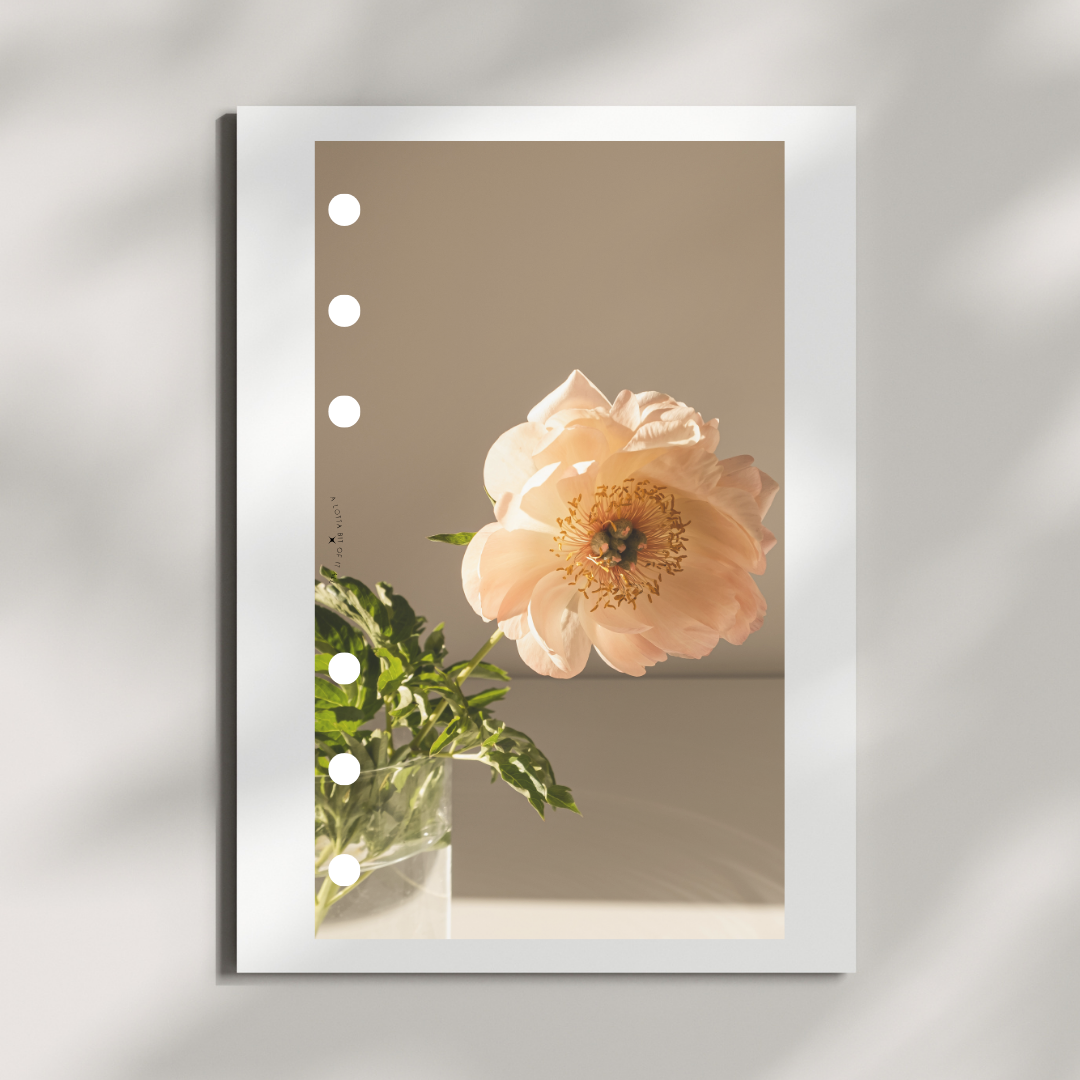 Dashboard | Peach Floral
