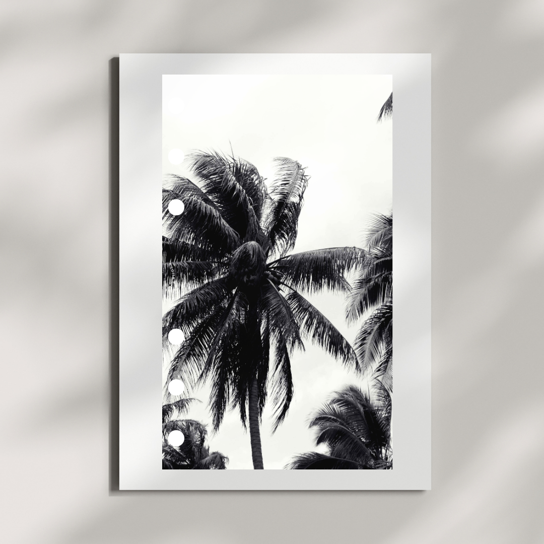 Dashboard | Palm Trees